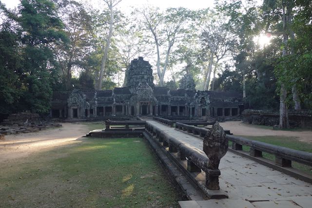 Ta Prohm empfängt uns mit stimmungsvollem Licht und einer tollen Atmosphäre.