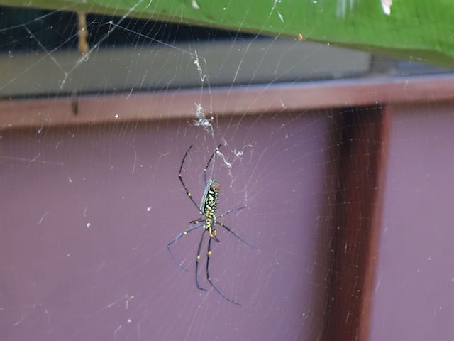 Hallo Frau Nachbarin!