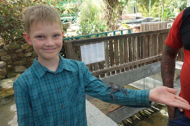 Unser Held des Tages!