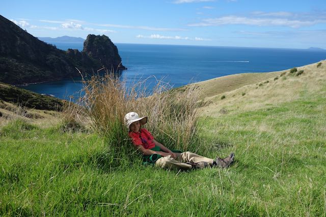 Wohlverdiente Picknickpause mit Panoramview.