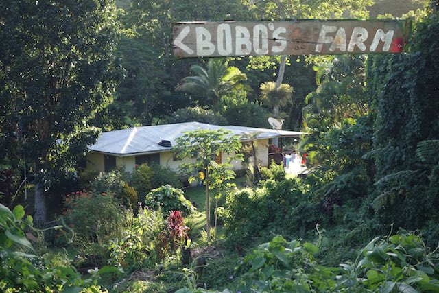 Das Haus von Bobo und Karin. Wir hatten einen eigenen Bungalow.