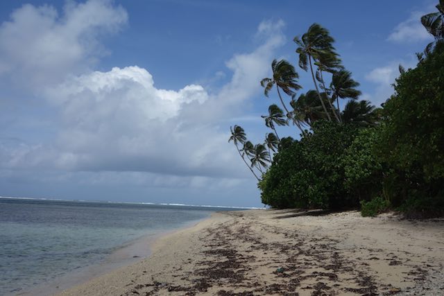 Traumhafter Strand mit schiefen Palmen - wie es sich gehört.