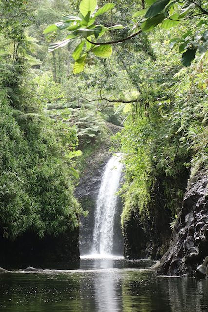 Ab hier heißt es schwimmen, damit man auch den zweiten Wasserfall zu Gesicht bekommt.