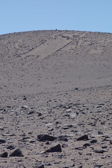 Der Gigante der Atacama de Atacama ist 86m lang und ca. 600-1200 Jahre alt.
